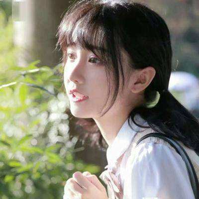 学习中文初学者游戏下载